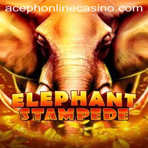 ElephantStampede: The New Aceph Online Casino Sensation